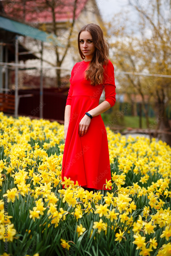A girl in a red long dress among thousands of daffodils in Ukraine. Bright spring colors A girl in a red long dress among thousands of daffodils in Ukraine. Bright spring colors