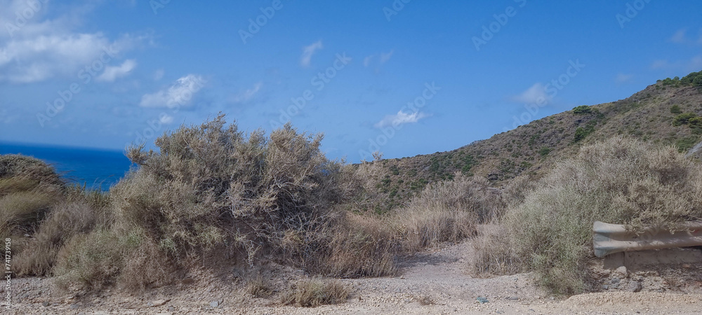 Scenic coastal landscape with shrubs, blue sky, and a glimpse of the sea in the background. Scenic coastal landscape with shrubs, blue sky, and a glimpse of the sea in the background.