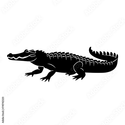 Full Size Crocodile