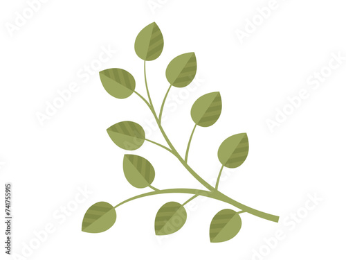 Leaves vector illustration. In realm botany, leaves and foliage embody very essence life Growing garden instills deep appreciation for intricate world leaves Leaves grow and intertwine, creating lush