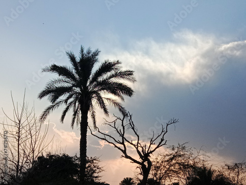 Landscape or sunset with rays and trees and cloudy sky 