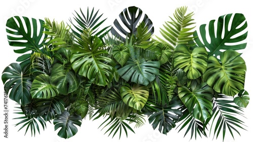 Tropical leaves foliage plant bush floral arrangement nature backdrop isolated on white background © Lubos Chlubny