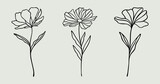 Flower Line Art Bundle | Wildflower Vector Illustrations | Botanical Leafy Floral Designs