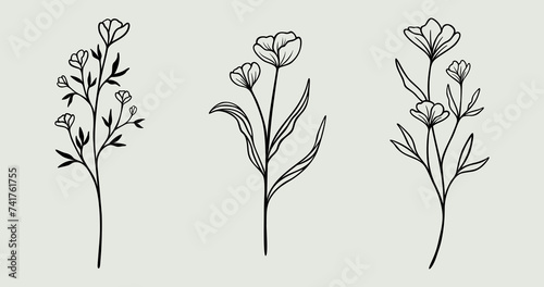 Flower Line Art Bundle   Wildflower Vector Illustrations   Botanical Leafy Floral Designs
