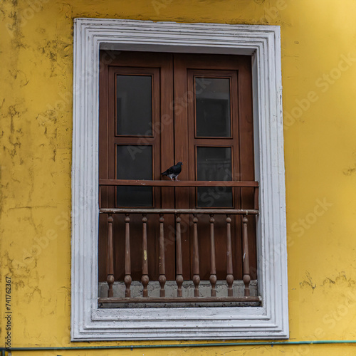 ventana de madera y pared amarilla