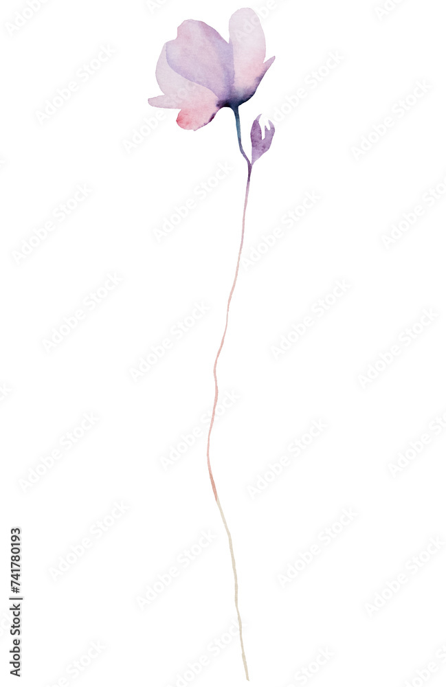 Watercolor light purple flower isolated illustration, floral wedding and greeting element