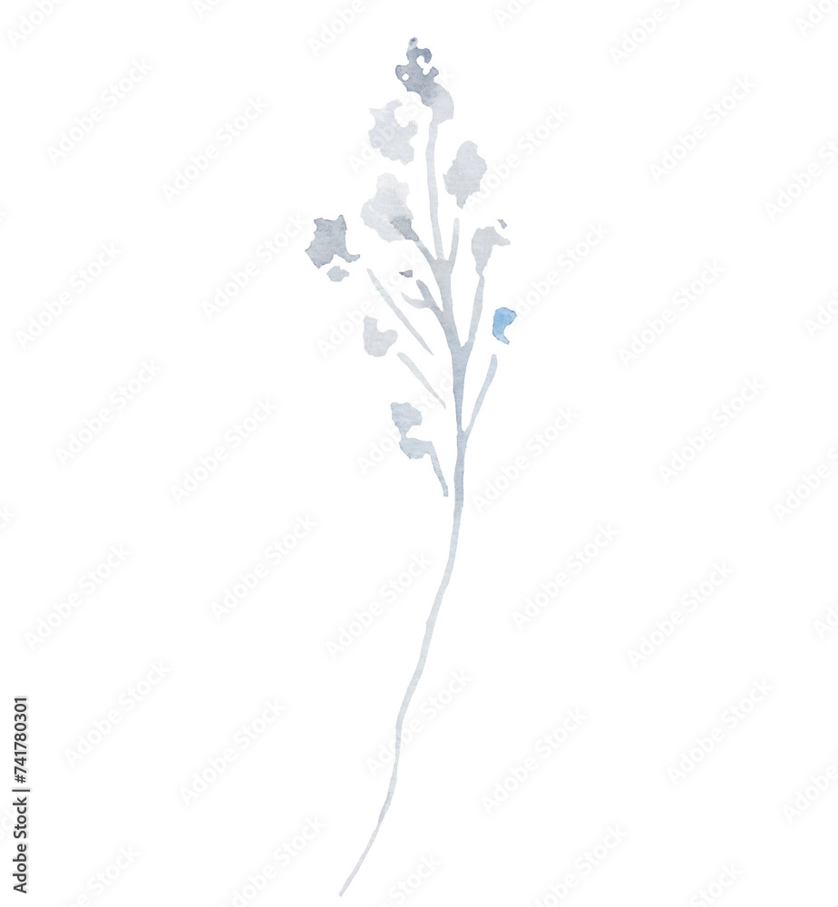 Watercolor light grey wildflowers isolated illustration, floral wedding and greeting element