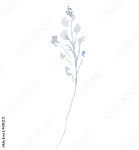 Watercolor light grey wildflowers isolated illustration  floral wedding and greeting element