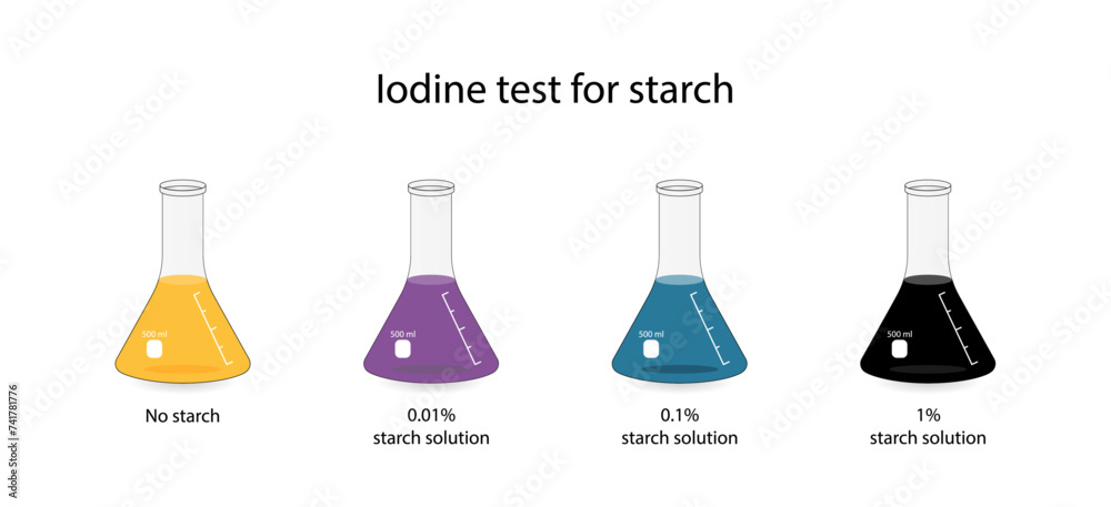Testing Starch Iodine test for starch, chemical experiment. Carbohydrates in a sample ...