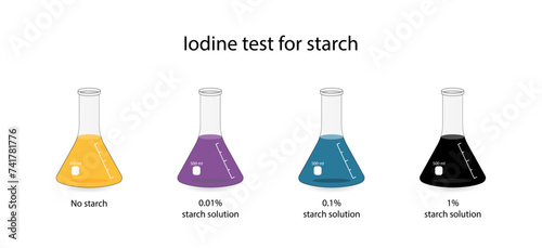 Iodine test for starch, chemical experiment. Carbohydrates in a sample of food or cosmetics. Test positive, dark blue, starch present. Biology, chemistry. Vector illustration.