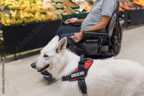 Foto Man with disability and his service dog shopping in market store using electric