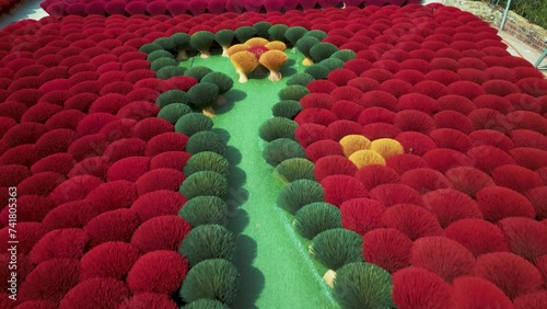 Discover Quang Phu Cau, the incense village near Hanoi, Vietnam. Witness vibrant colors as incense dries under the sun in a colorful garden, filling the air with delightful fragrance.