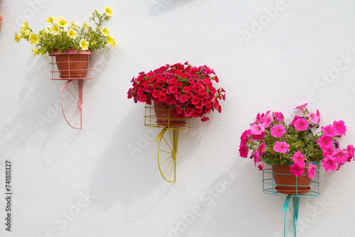 Tomar, Portugal. Europe Pots of colorful flowers blooming in the summer on the streets of Tomar. photo