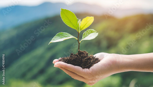 Ecology, eco-friendly growing tree plant on volunteer's hand natural background for go green, Arbor day, reforestation sustainable bio forest saving environment ecosystems conservation csr concept