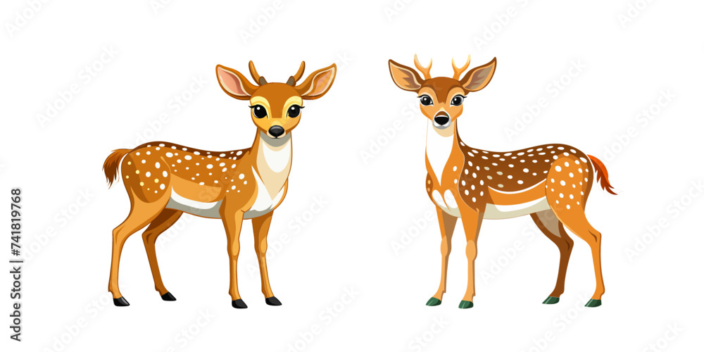 Obraz premium Spotted Deer Isolated
