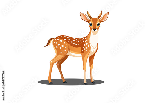 Spotted Deer Isolated