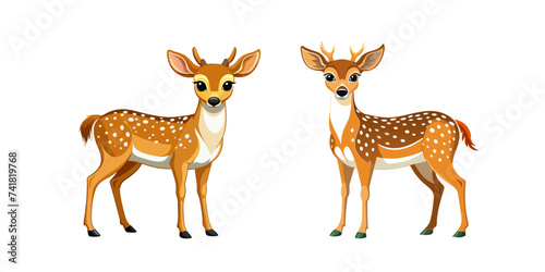 Spotted Deer Isolated