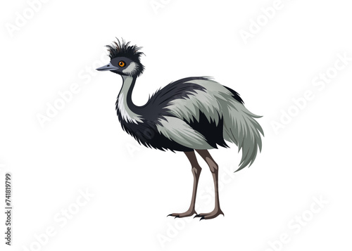 Emu Bird vector isolated