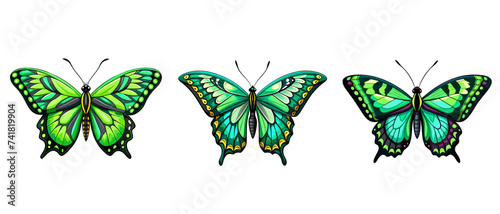 Vector set of green butterfly. 