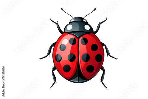 ladybug isolated © sadi