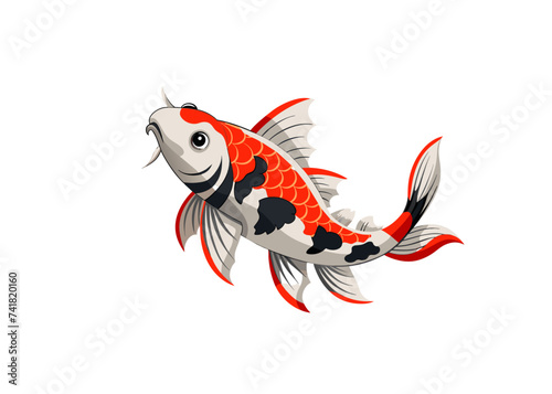 Koi fish isolated