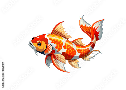 Koi fish isolated