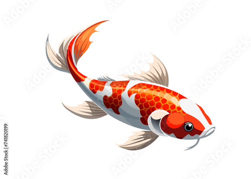 koi fish isolated on transparent