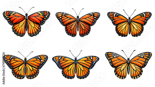 Monarch butterfly set isolated. 