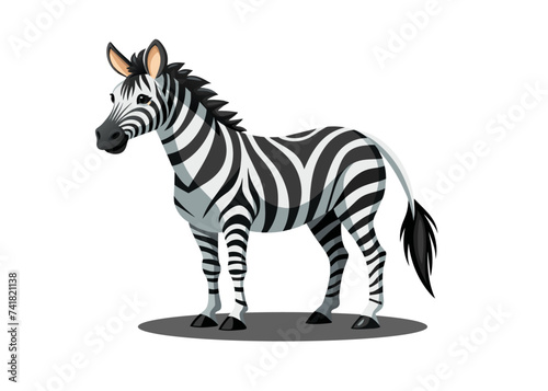 Zebra isolated