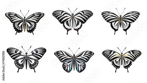 Zebra butterfly set vector. 