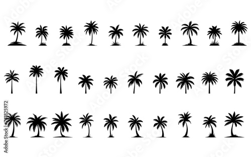 Set of palm trees, vector set, isolated, for art element.
