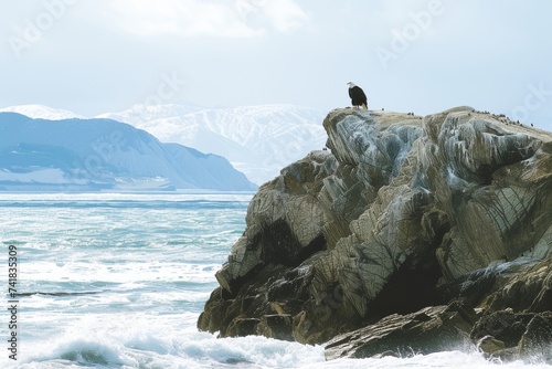 A bird is perched on top of a large rock near the ocean, with waves crashing in the background. The bird seems to be observing its surroundings photo