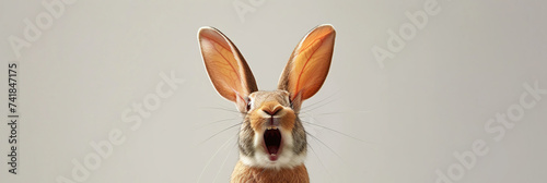 Joyful rabbit with long ears raised high and wide open mouth, appearing to cheer or laugh against a light background, expressing humor, delight, or excitement. Easter concept. Banner with copy space.