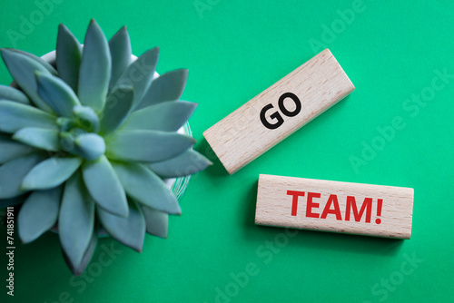 Go Team symbol. Concept word Go Team on wooden blocks. Beautiful green background with succulent plant. Business and Go Team concept. Copy space