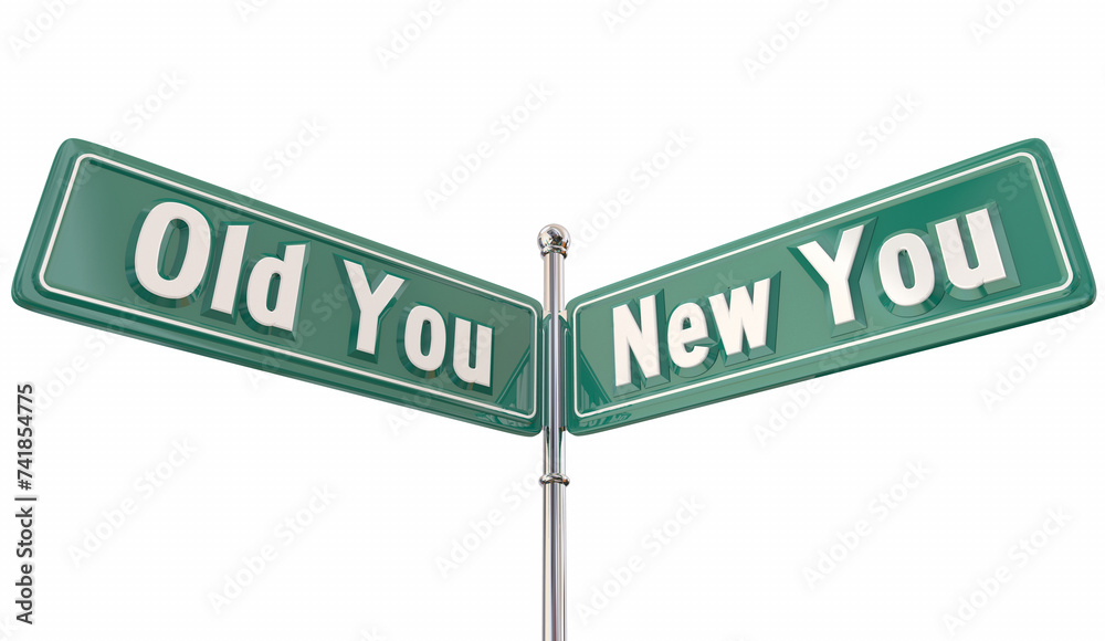New You Vs Old Self Me Confidence Direction Path Future Success Signs 3d Illustration New You Vs Old Self Me Confidence Direction Path Future Success Signs 3d Illustration