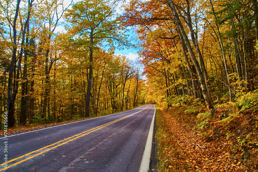 Autumnal Road Through Vibrant Michigan Forest