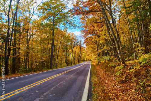 Autumnal Road Through Vibrant Michigan Forest
