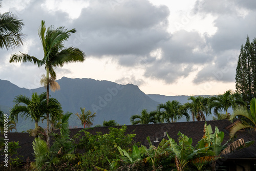 hawaiian landscape 