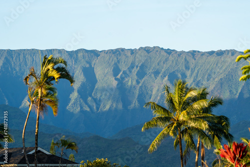 hawaiian landscape  photo