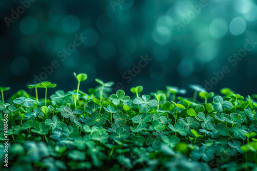 A vibrant world of green emerges as delicate clovers sway amidst the lush grass, showcasing the beauty and simplicity of nature's intricate details photo