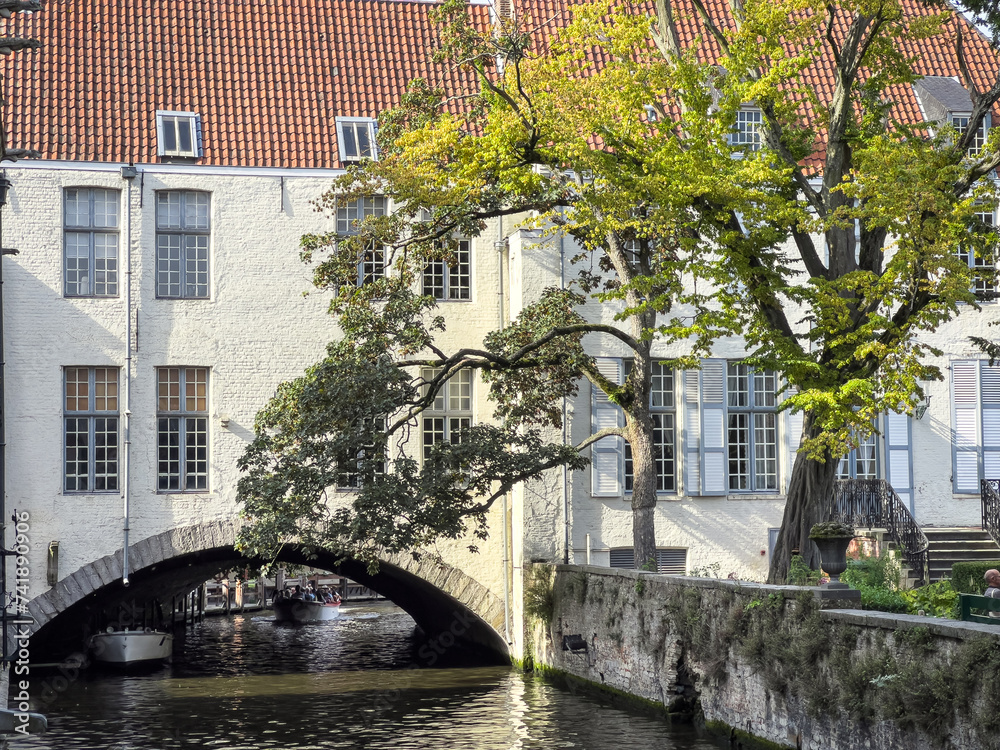 Naklejka premium tree over canal