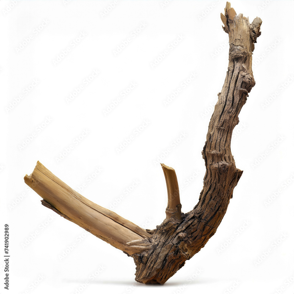 Tree Branch isolated on white background Tree Branch isolated on white background