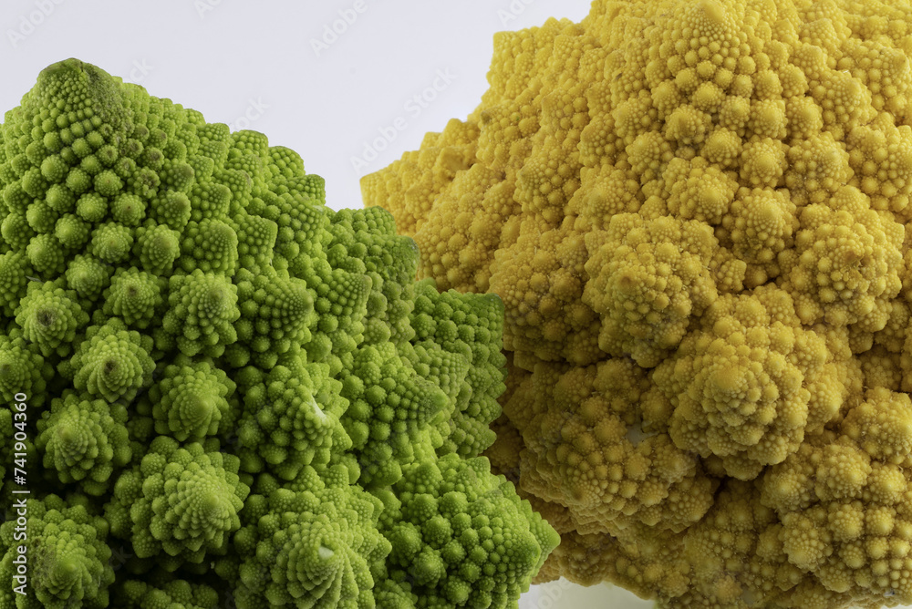 La bellezza dei frattali nei broccoli romani La bellezza dei frattali nei broccoli romani
