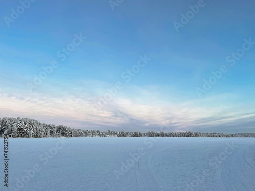Snowy plain landscape over a frozen lake in winter on a blue sky cold snow scene in Napapiiri  Rovaniemi