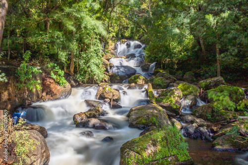 waterfall in the forest