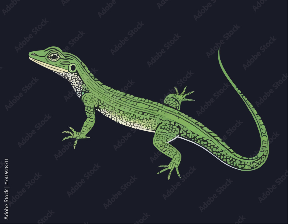 Illustration of Japanese native Miyako grass lizard
Illustration of Japanese native Miyako grass lizard