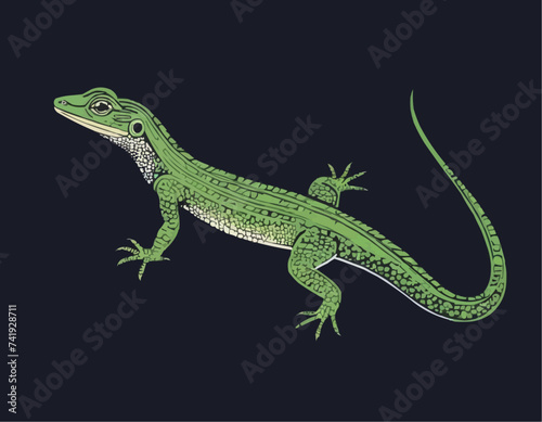 Illustration of Japanese native Miyako grass lizard 