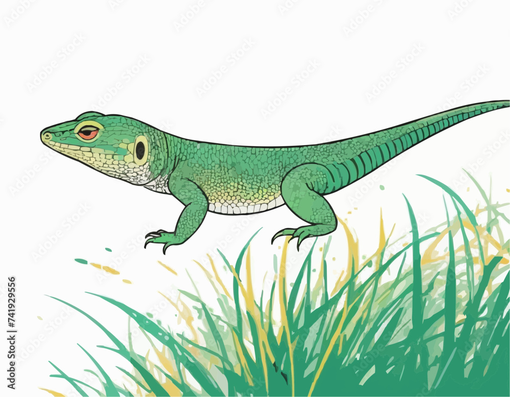 Illustration of Japanese native Miyako grass lizard
