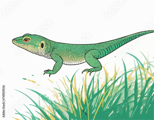 Illustration of Japanese native Miyako grass lizard 