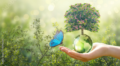 Earth Day or World Environment Day, environmentally friendly concept. Tree growing on globe and Morpho butterfly in hand on green background. Save planet and protect nature, sustainable lifestyle.